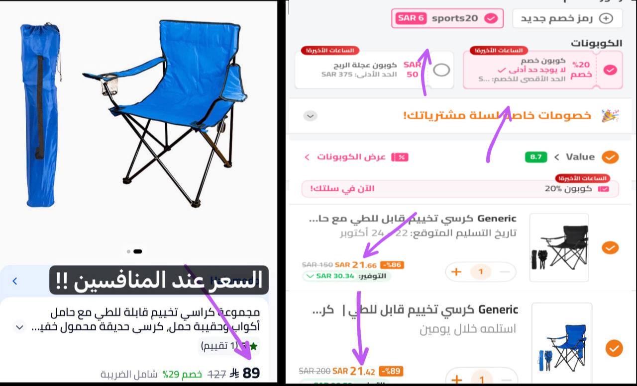 Camping Chair with Bag